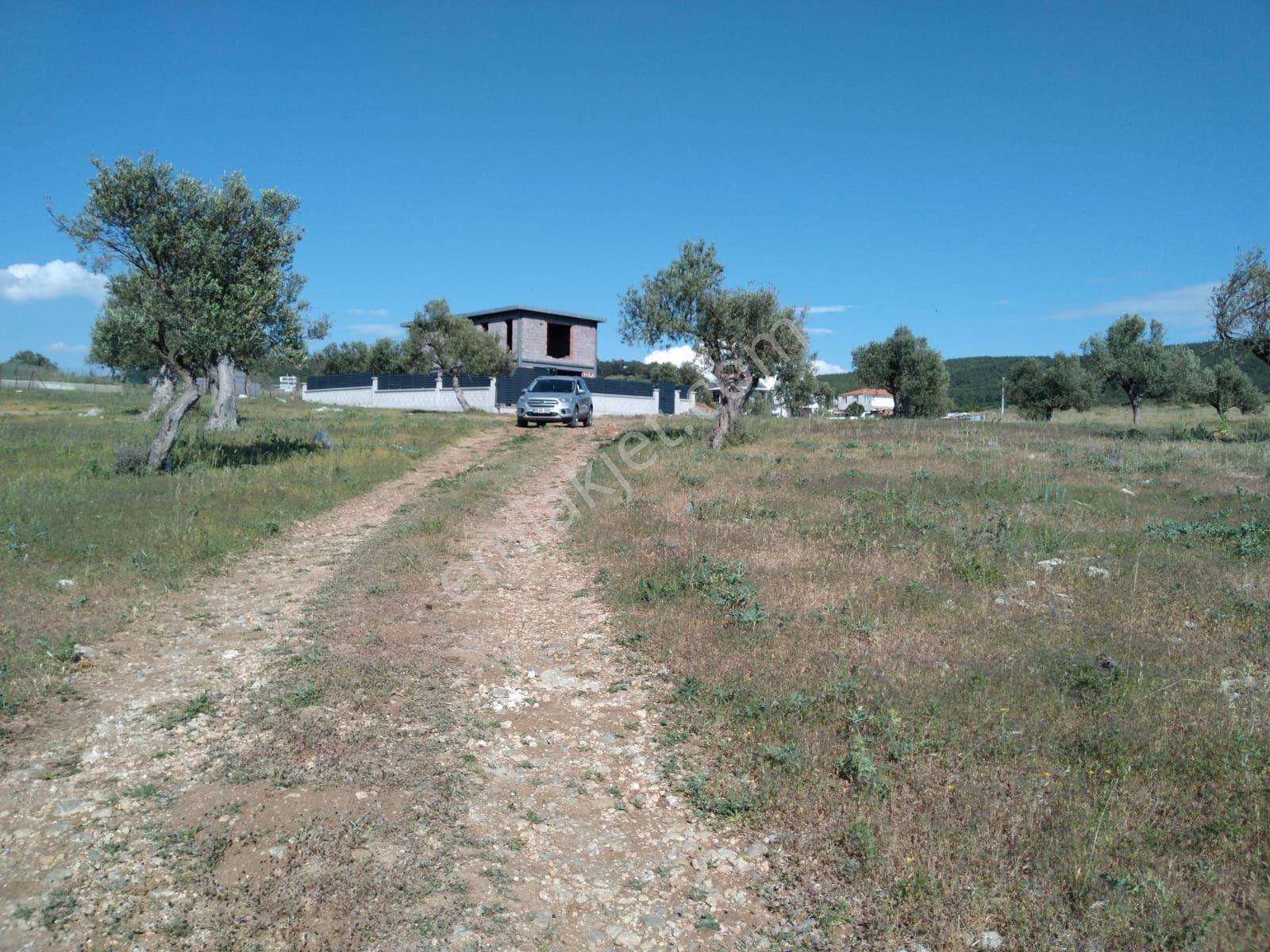 Bergama Zeytindağ Satılık Arsa - Görsel 7