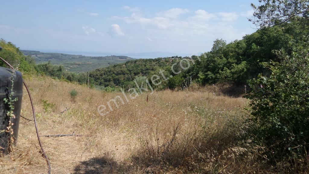 Talatbeyde Kadastro Yoluna 10 Metre Deniz Manzaralı Arazi - Görsel 11