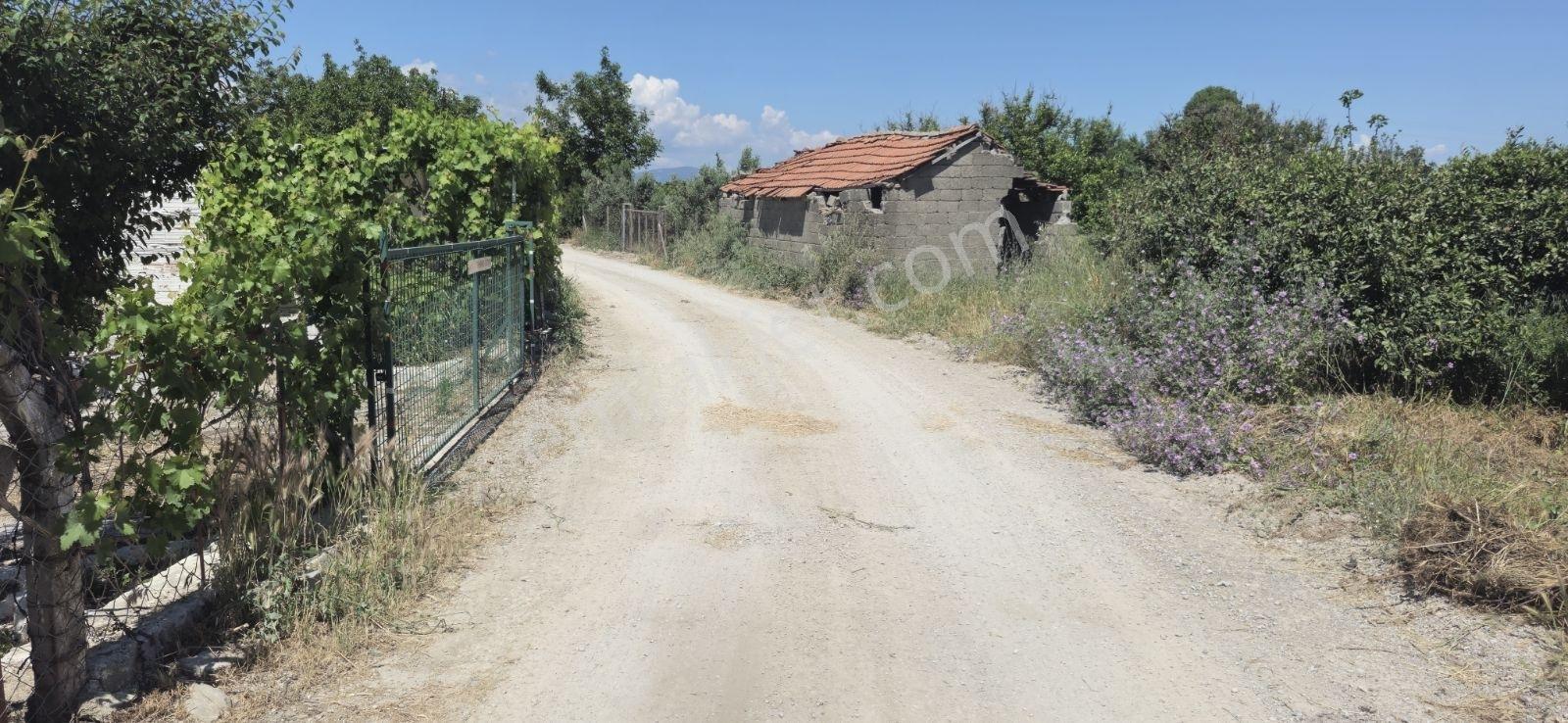 Hıdırlık Mah. Merkeze Yakın 2 Tapudan Oluşan Mandalina Bahçesi - Görsel 2