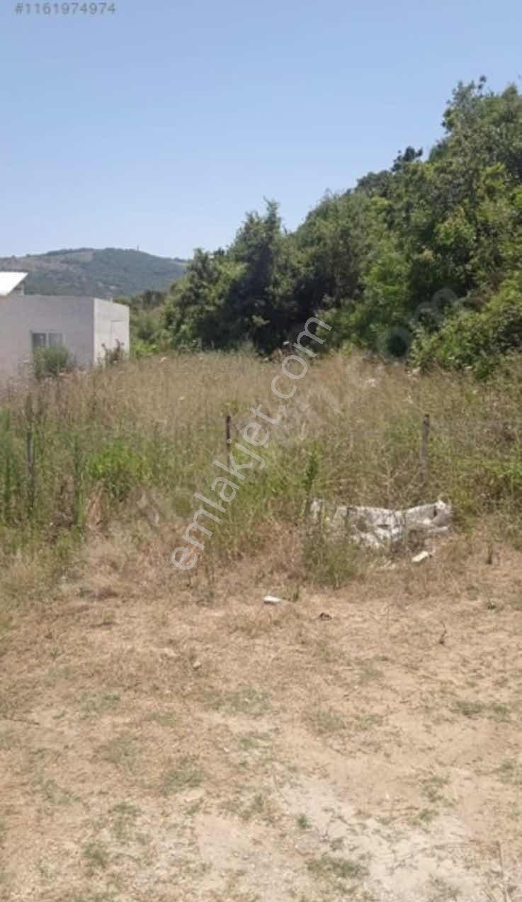 Vb Gayrimenkul Mesudiye'de Satılık 134 M2 Deniz Manzaralı Arsa - Görsel 3