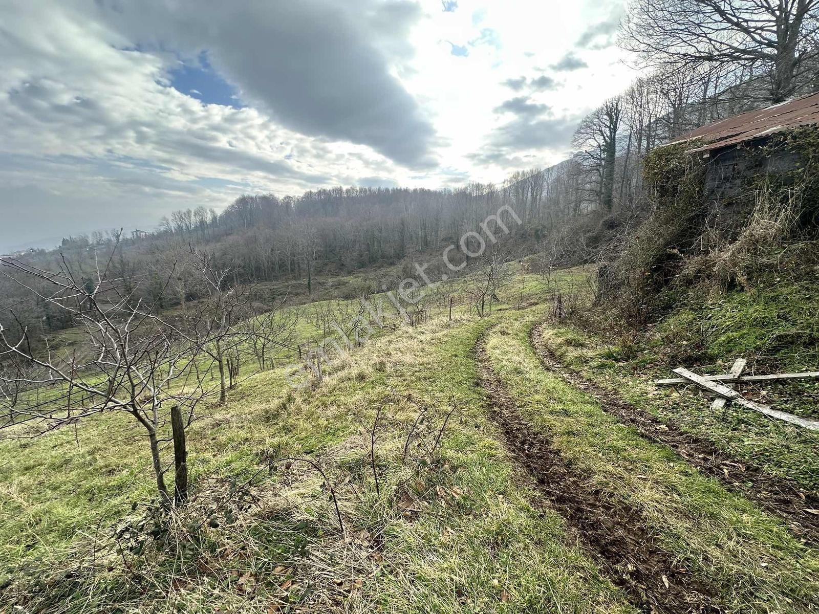 Yayla Gayrimenkulden Satılık Atakum Özörende 17000 M2 Tarla - Görsel 9