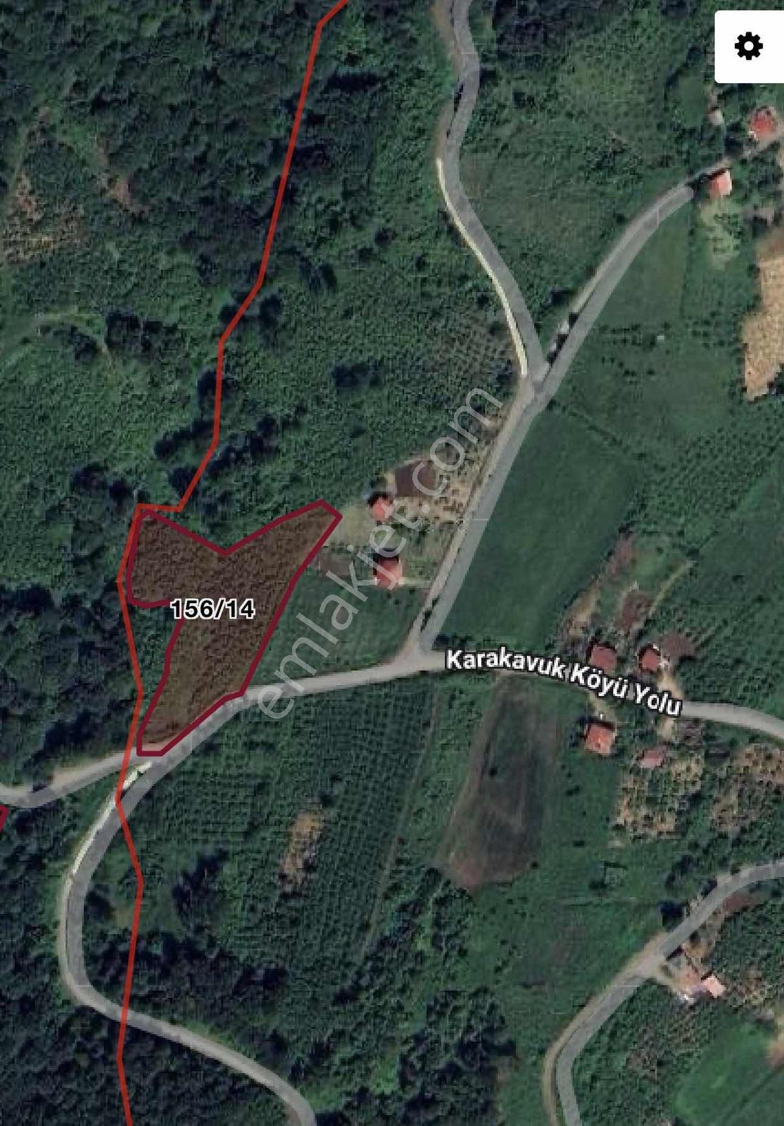 Yayla Gayrimenkulden Karakavukta Satılık Tarla Fındıklık - Görsel 5
