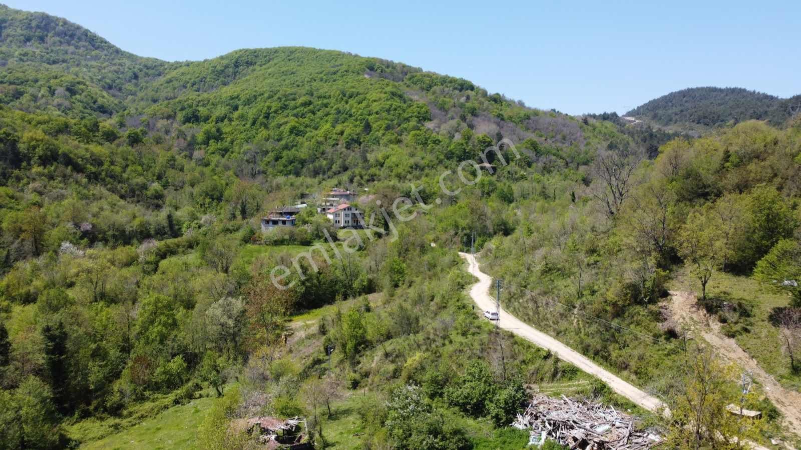 Sofular Mahallesinde Yatırımlık 1212 M² Satılık Arsa - Görsel 10