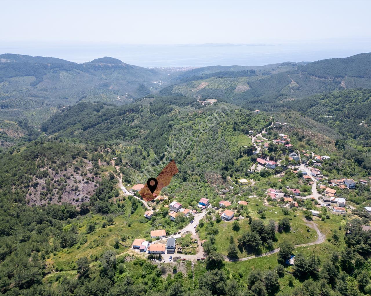 Çanakkale Ayvacık Küçükçetmi Köyü 3798 M2 Köy İçi İmarlı Arsa! - Görsel 7