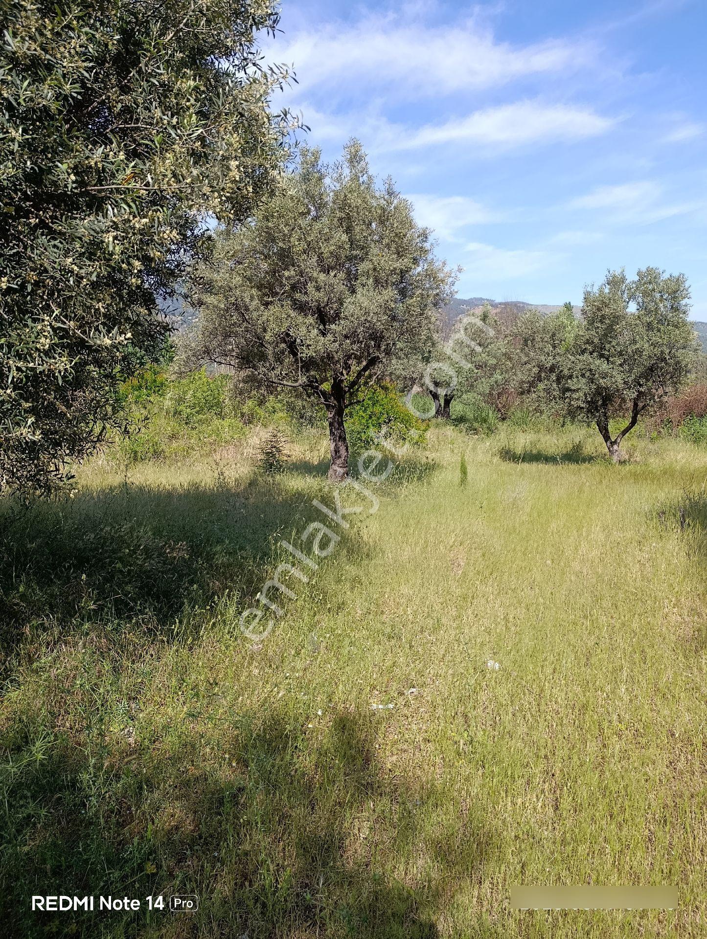 Çölgezenden Satılık İmarlı Arsa - Görsel 12