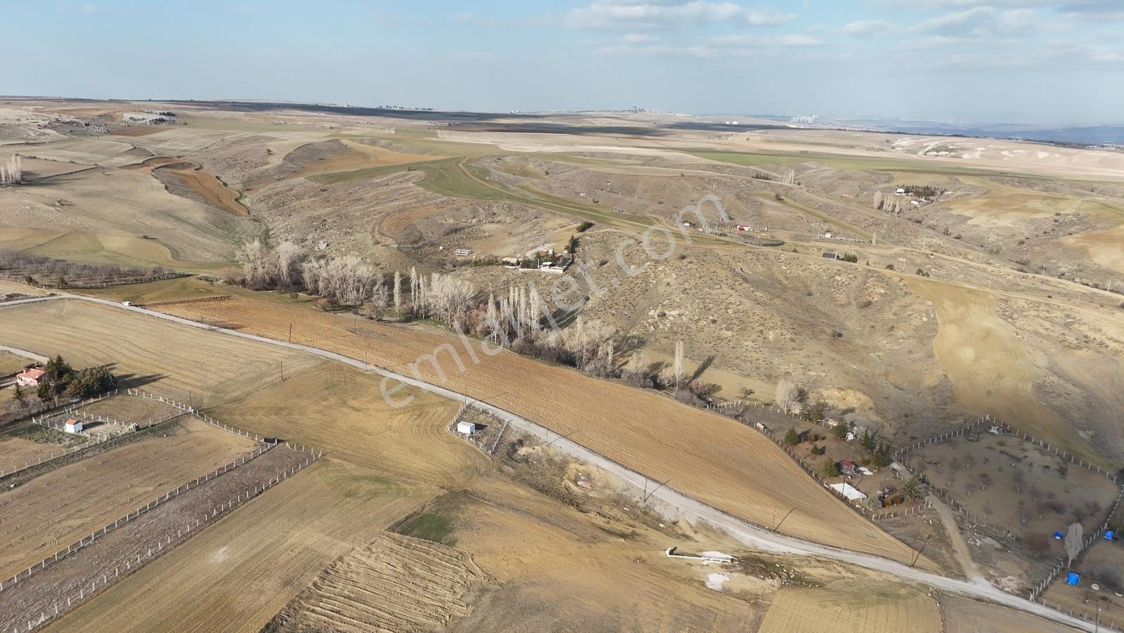 Velihimmetli Bağlarda 23.280m2 Tek Tapu Mükemmel Konum Tarla - Görsel 3