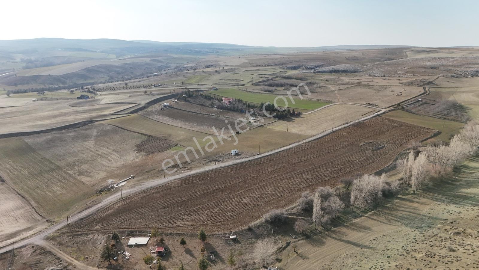 Velihimmetli Bağlarda 23.280m2 Tek Tapu Mükemmel Konum Tarla - Görsel 23