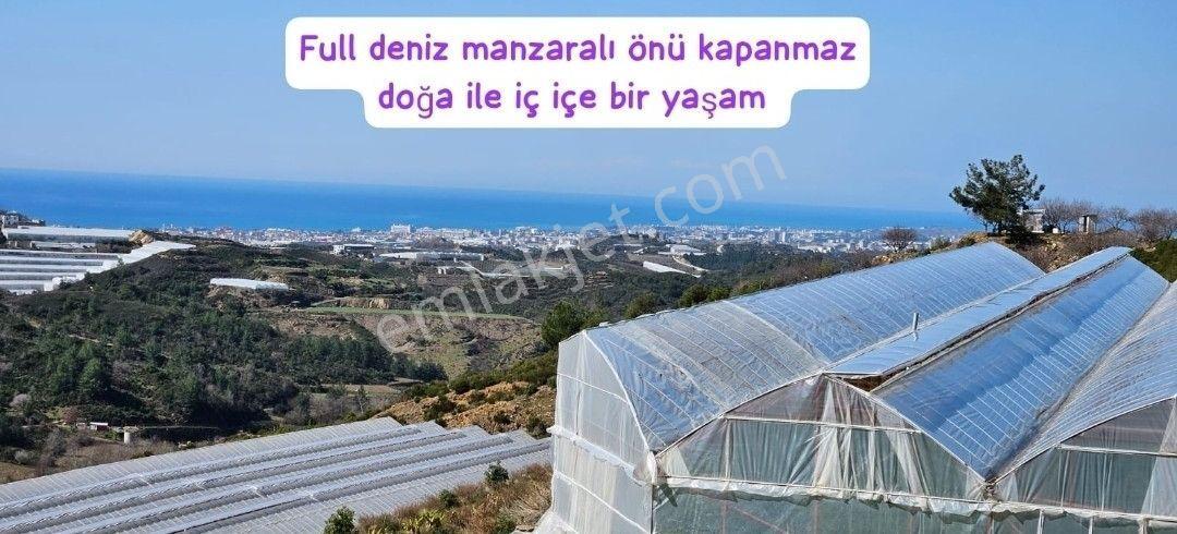 Alanya Elikesik Deniz Manzaralı Satılık 349 Metre Tarla - Görsel 6