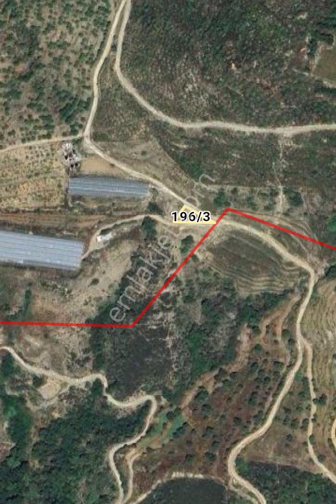 Alanya Elikesik Deniz Manzaralı Satılık 349 Metre Tarla - Görsel 3