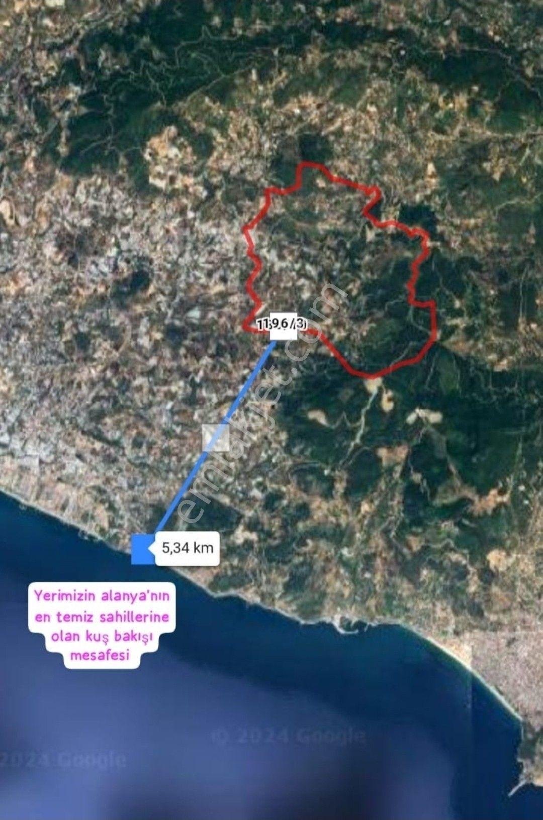 Alanya Elikesik Deniz Manzaralı Satılık 349 Metre Tarla - Görsel 2