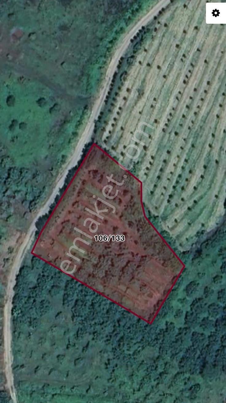 Sakarya Kocaali Satılık Fındıklık 2565 M2 - Görsel 9