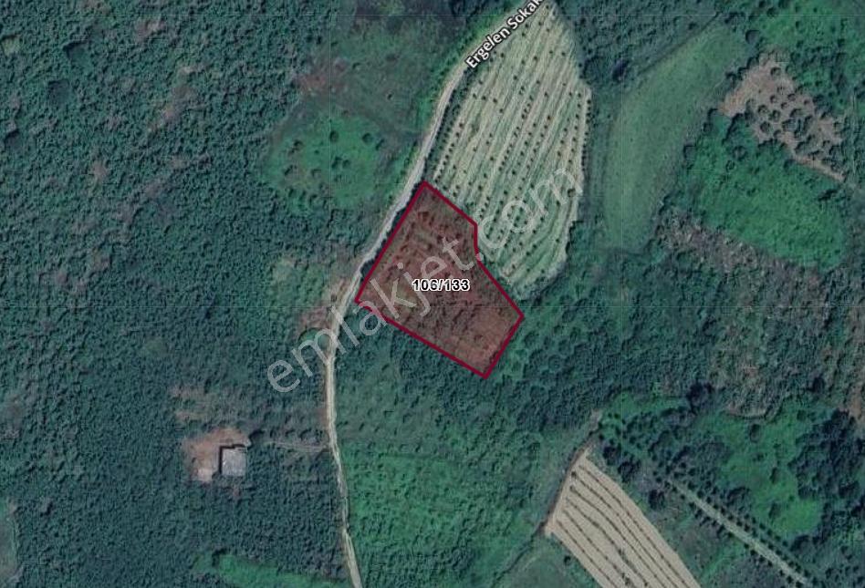 Sakarya Kocaali Satılık Fındıklık 2565 M2 - Görsel 7