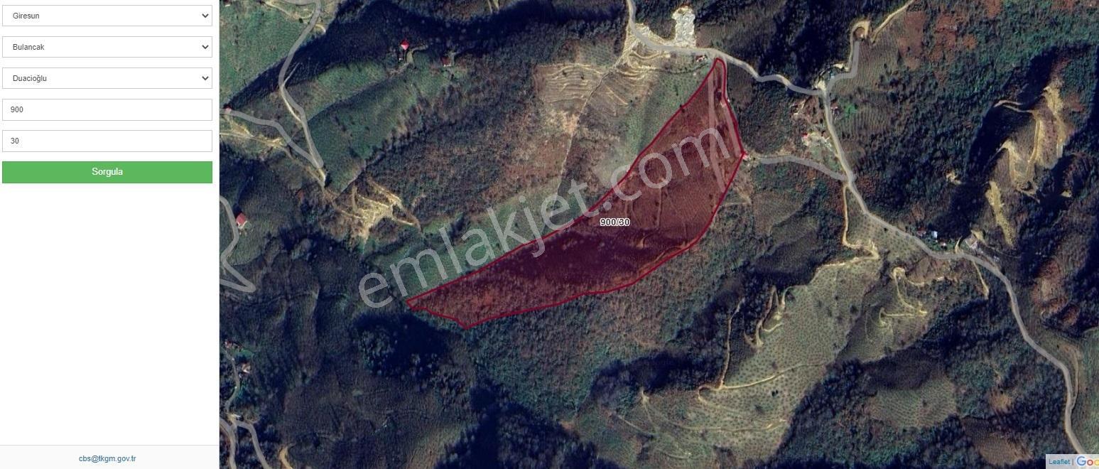 Vavien Emlak'tan 55 Dönüm Belediye Sınırları İçerisinde Bahçe - Görsel 2
