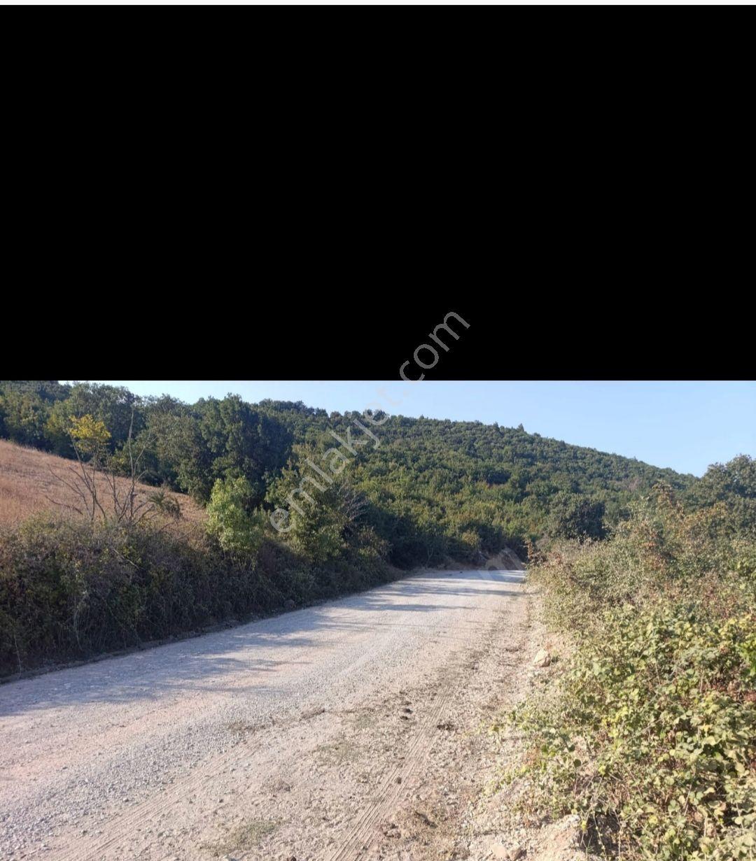 Balıkesir Balya Medresede Yola Sıfır Köye 500 Metre - Görsel 9