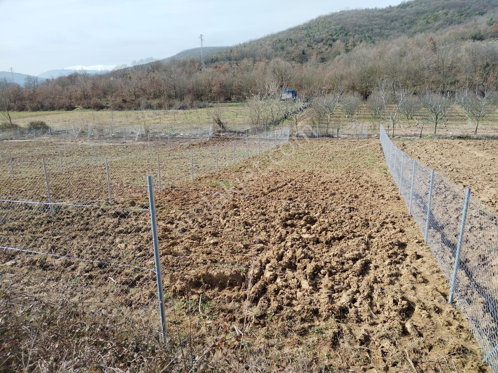 Expert'ten Yeniköyde 306 M2 Tel Örgülü Satılık Hobi Bahçesi - Görsel 5