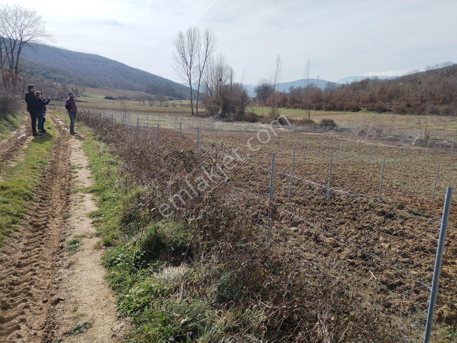 Expert'ten Yeniköyde 306 M2 Tel Örgülü Satılık Hobi Bahçesi