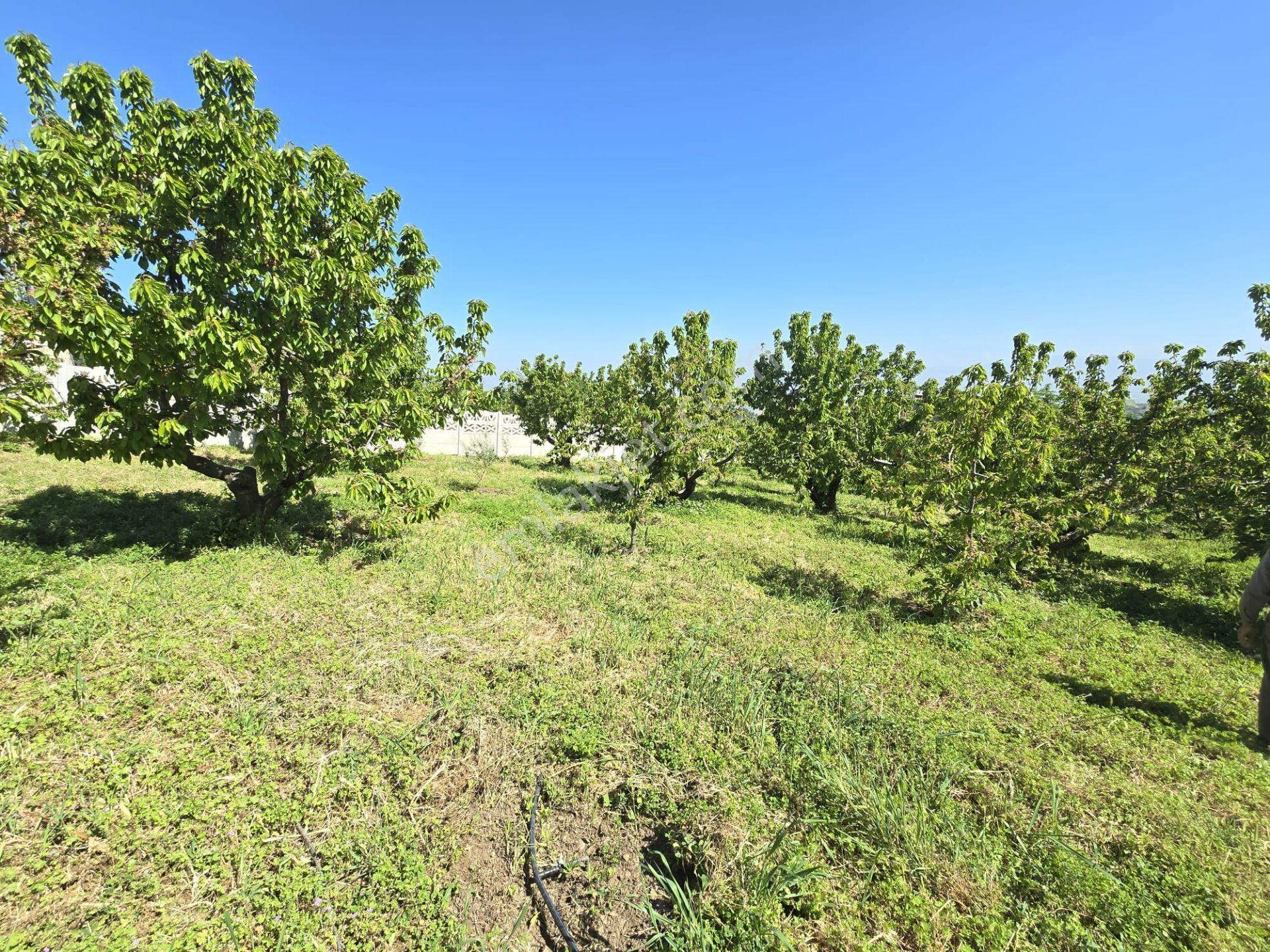 Satılık Gökköyde 2 Dönüm 250m2 2 Kat Villa İmarlı Fırsat Ars - Görsel 18