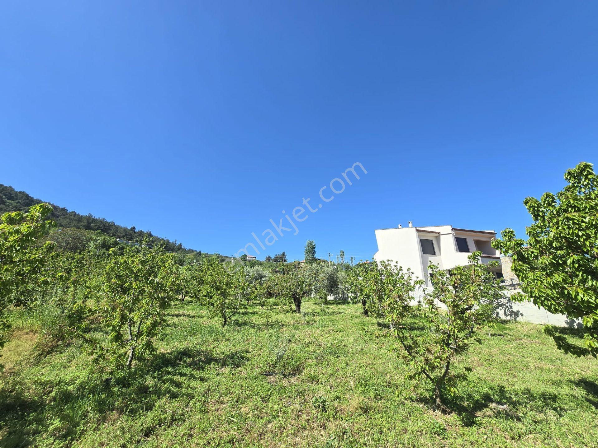 Satılık Gökköyde 2 Dönüm 250m2 2 Kat Villa İmarlı Fırsat Ars - Görsel 17