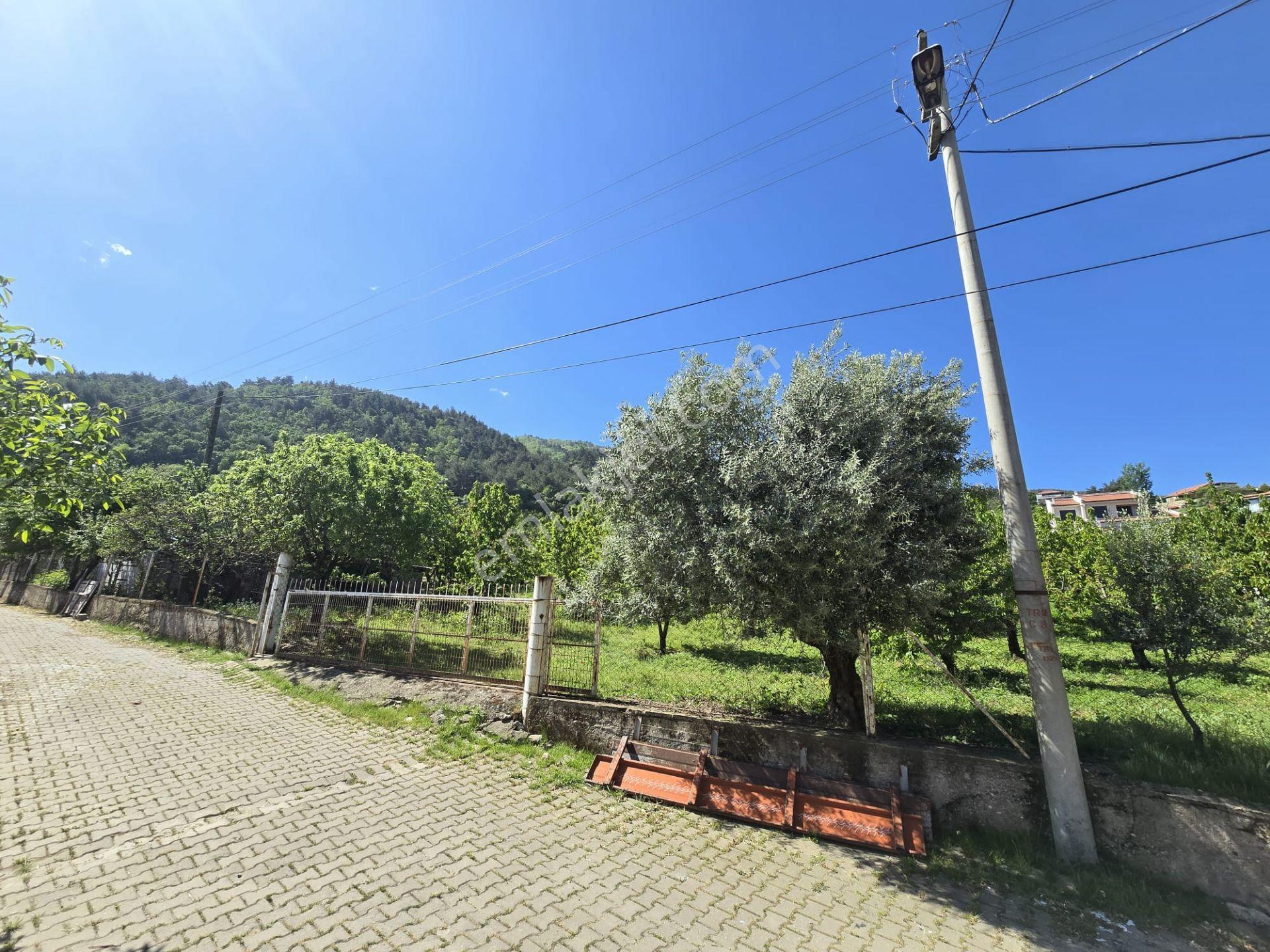 Satılık Gökköyde 2 Dönüm 250m2 2 Kat Villa İmarlı Fırsat Ars - Görsel 15