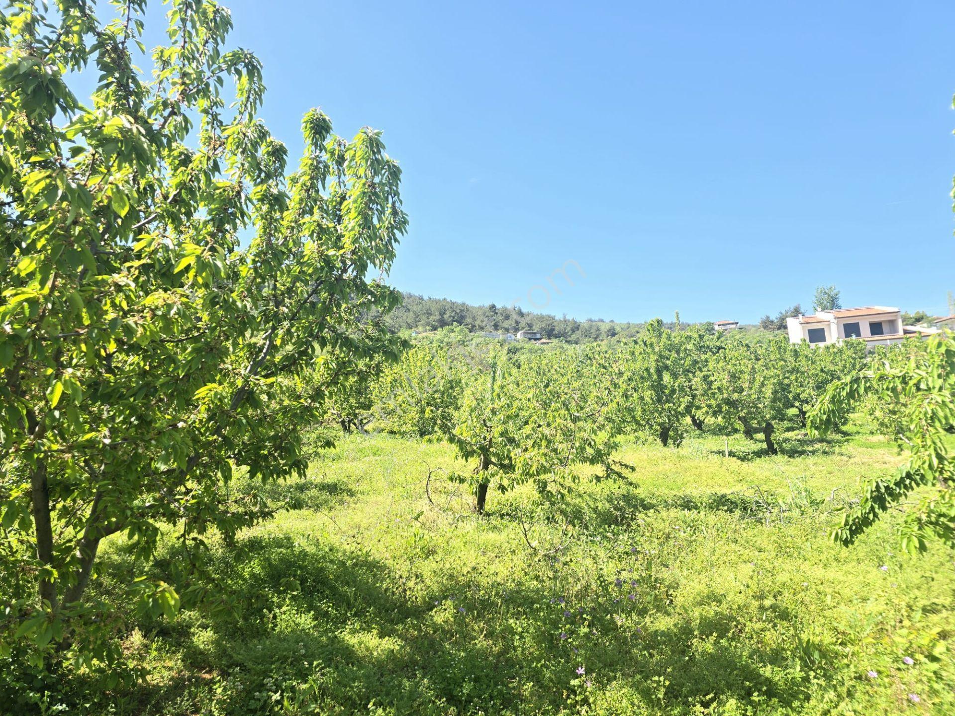Satılık Gökköyde 2 Dönüm 250m2 2 Kat Villa İmarlı Fırsat Ars - Görsel 12