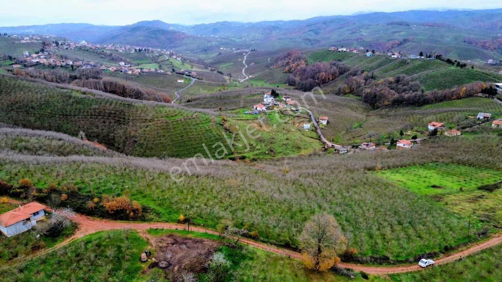 Emlakevim Den Karasu Yassıgeçit Mh Satılık % 5 İmar - Görsel 9