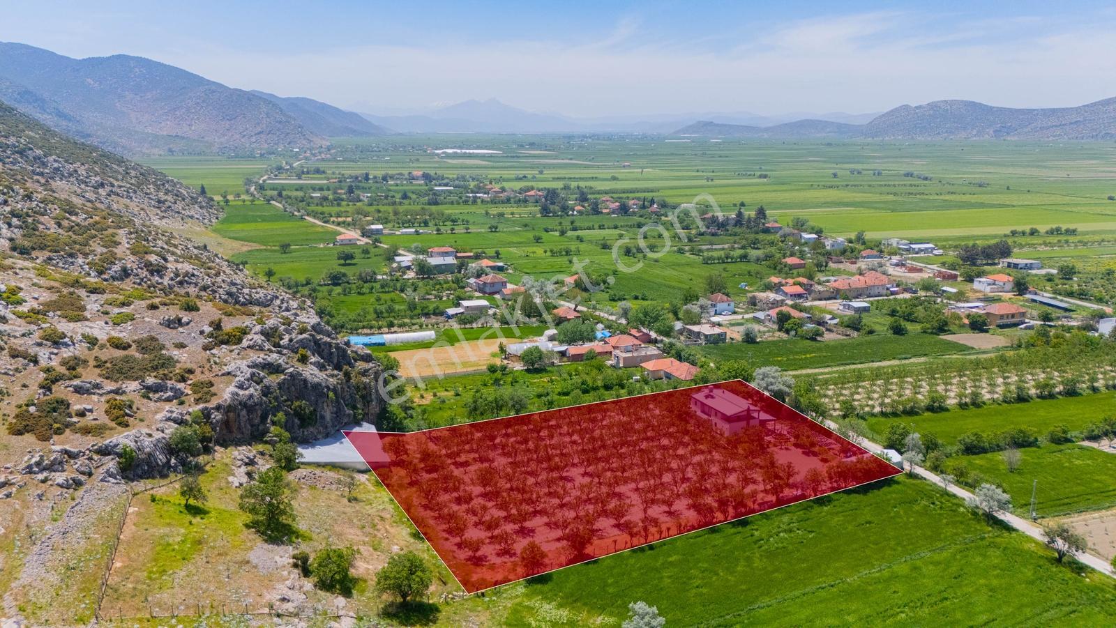 Korkutelin'de 17 Dönüm Çiftlik İçerisinde Villa - Görsel 35