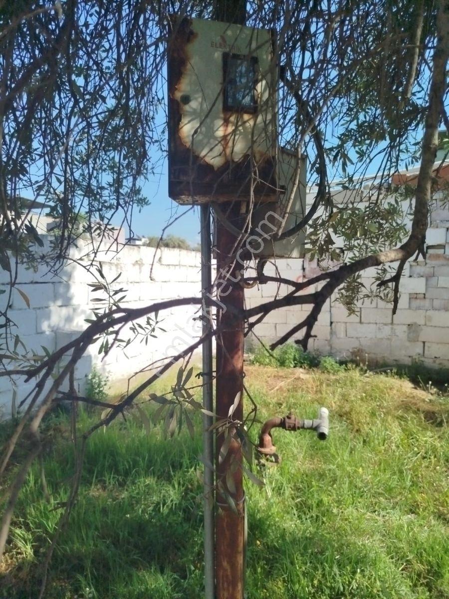 Aydın İncirliova Satılık Ve Kat Karşılığı Müstakil Tapulu Arsa - Görsel 3
