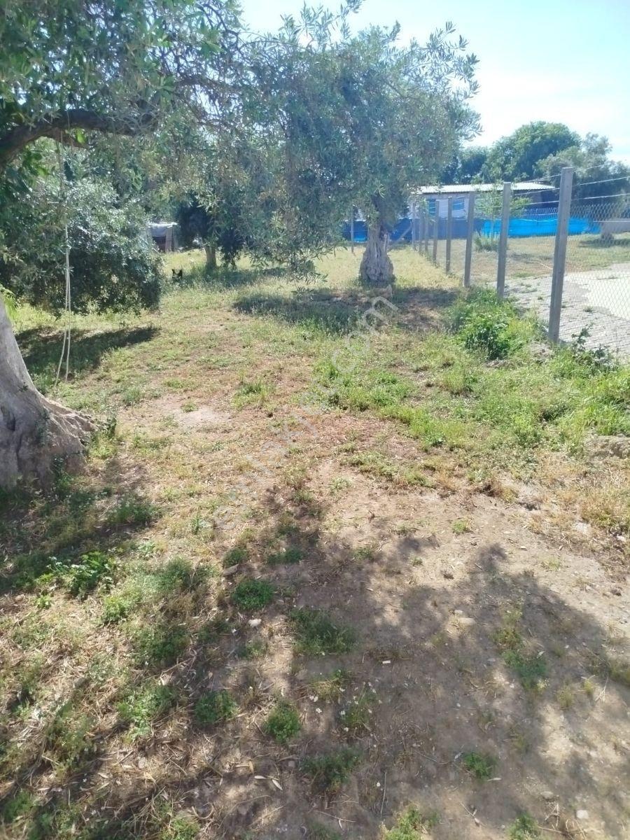 Aydın İncirliova Satılık Ve Kat Karşılığı Müstakil Tapulu Arsa - Görsel 2