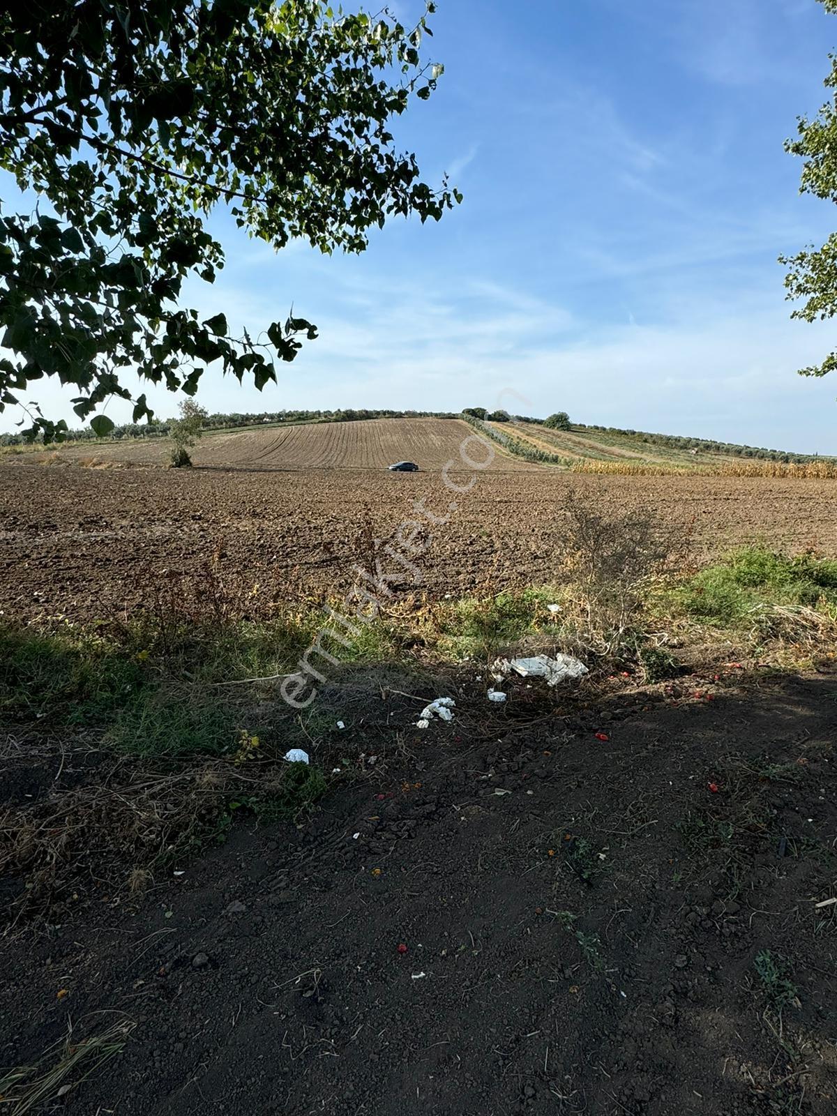 Karacabey Sultaniye Satılık Müstakil Tarla - Görsel 16