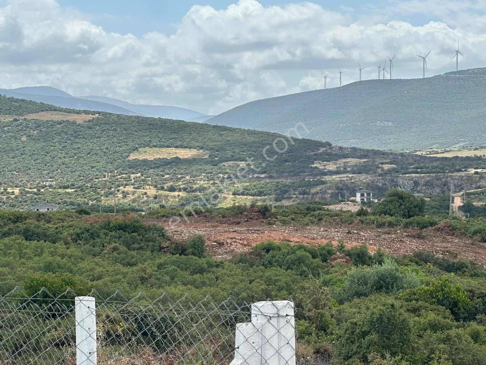 Didim Bozsekide Satılık Müstakil Arsa - Görsel 22