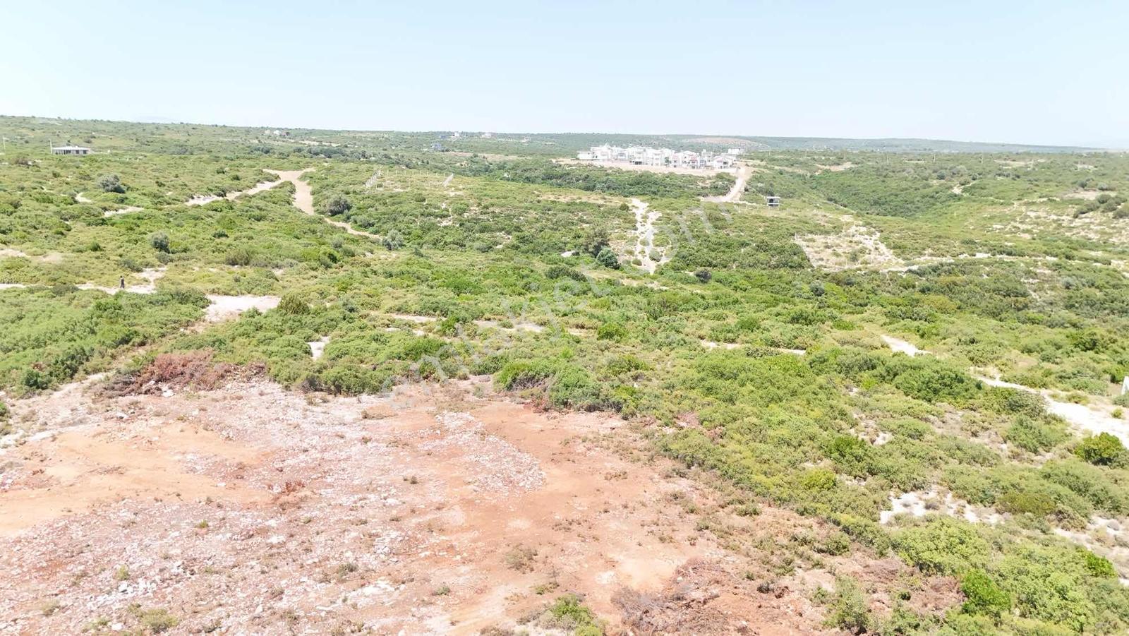 Didim Bozsekide Satılık Müstakil Arsa - Görsel 6