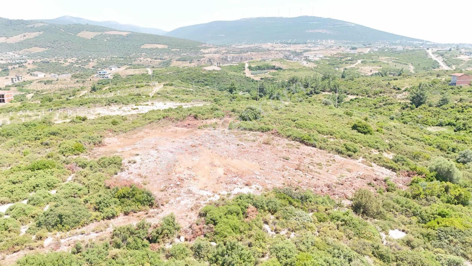 Didim Bozsekide Satılık Müstakil Arsa - Görsel 3
