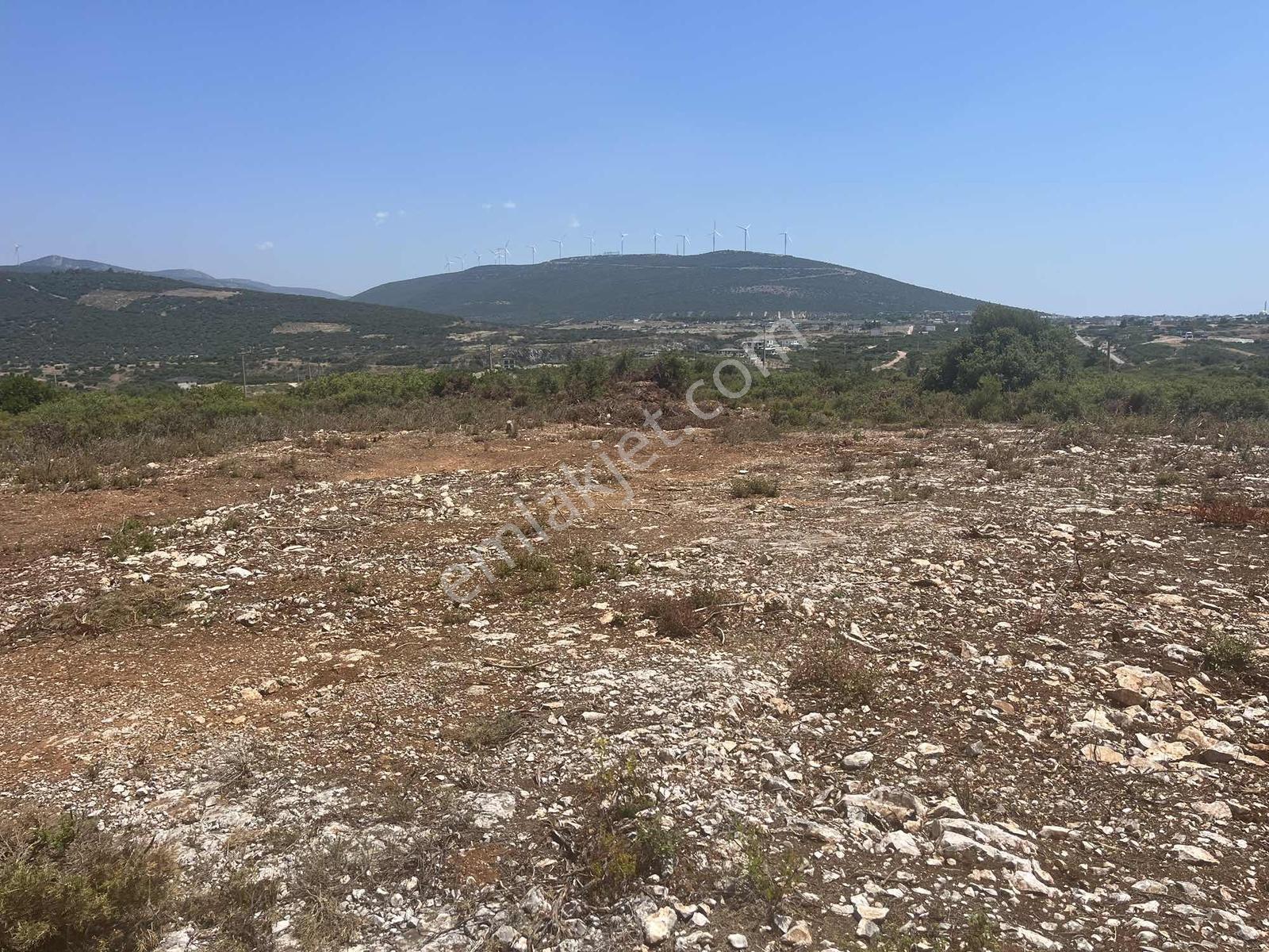 Didim Bozsekide Satılık Müstakil Arsa - Görsel 20