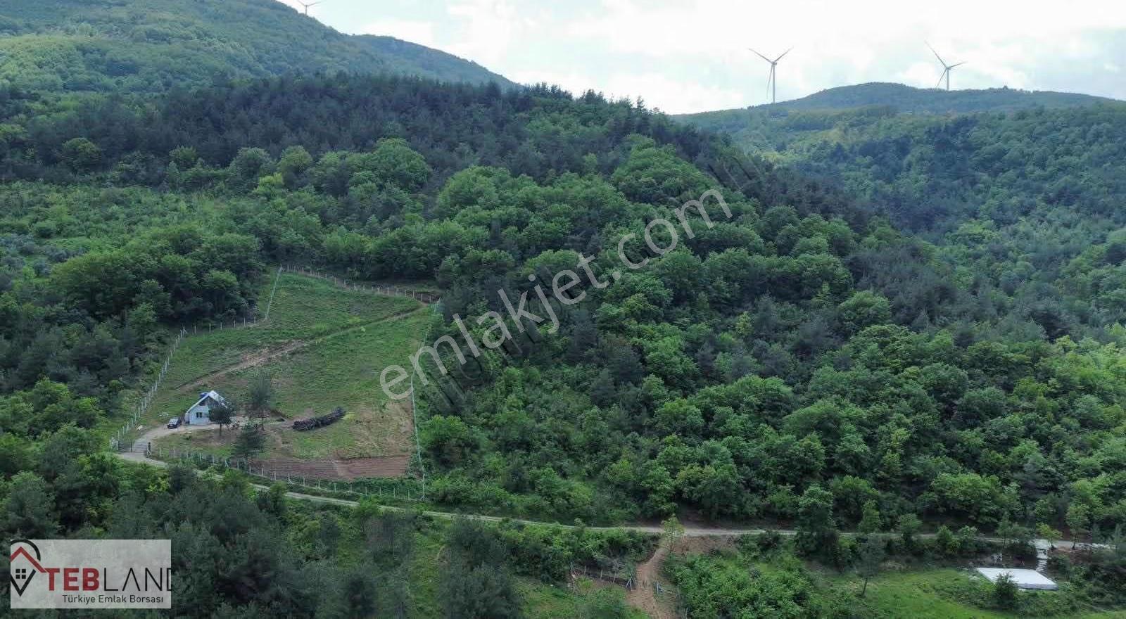 Geyve Dereköy De Yatırımlık 3486m2 Satlık Arazı - Görsel 3