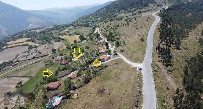 Tanberk Den Doğanın Kalbinde Taş Ev Ve Depo 1008 M2 Arsa İçinde - Görsel 2