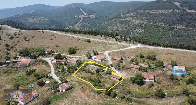 Tanberk Den Doğanın Kalbinde Taş Ev Ve Depo 1008 M2 Arsa İçinde - Görsel 3