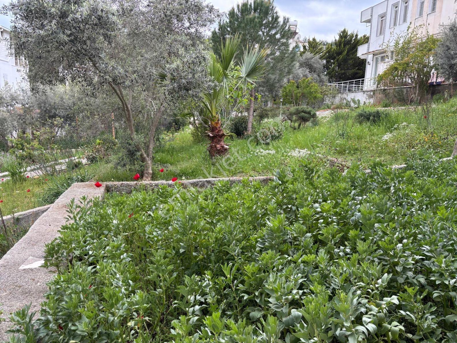 Kazıklı Koyunda Denize 150 Metre Deniz Manzaralı Yazlık Villa - Görsel 5