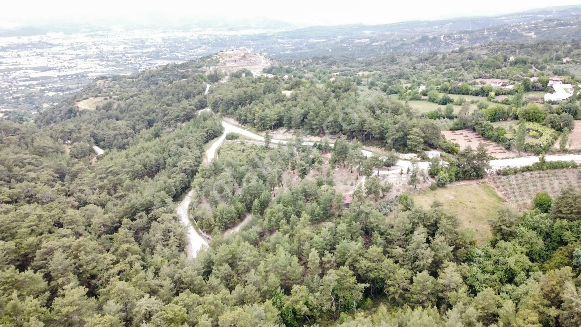 Stop’tan Seydikemer Yaka'da Doğa İle İç İçe, Yatırımlık Tarla! - Görsel 5