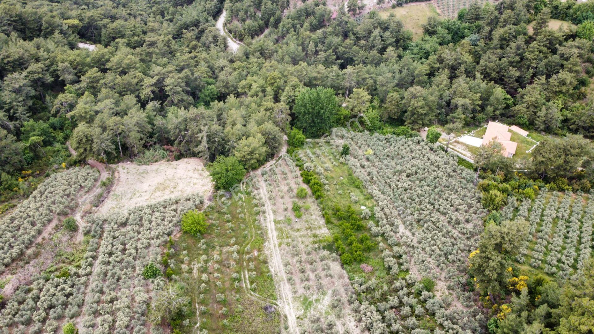 Stop’tan Seydikemer Yaka'da Doğa İle İç İçe, Yatırımlık Tarla! - Görsel 11