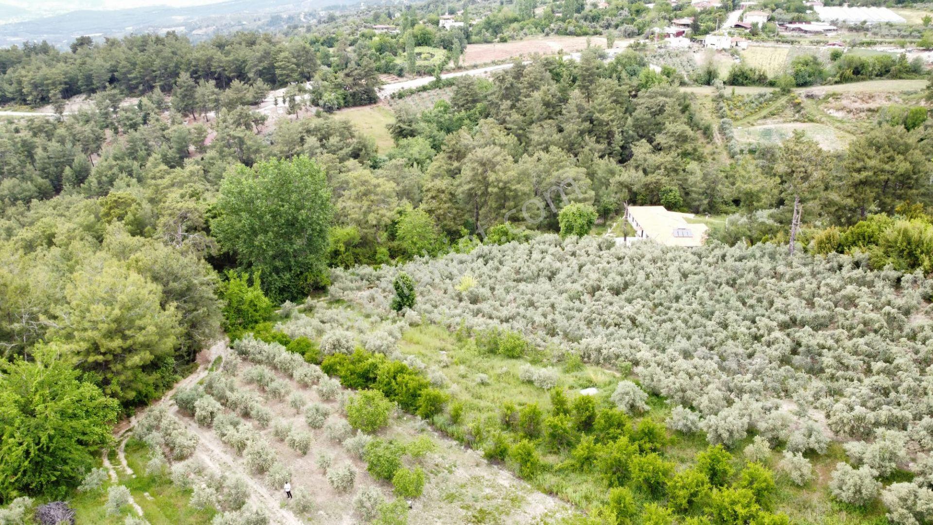 Stop’tan Seydikemer Yaka'da Doğa İle İç İçe, Yatırımlık Tarla! - Görsel 12