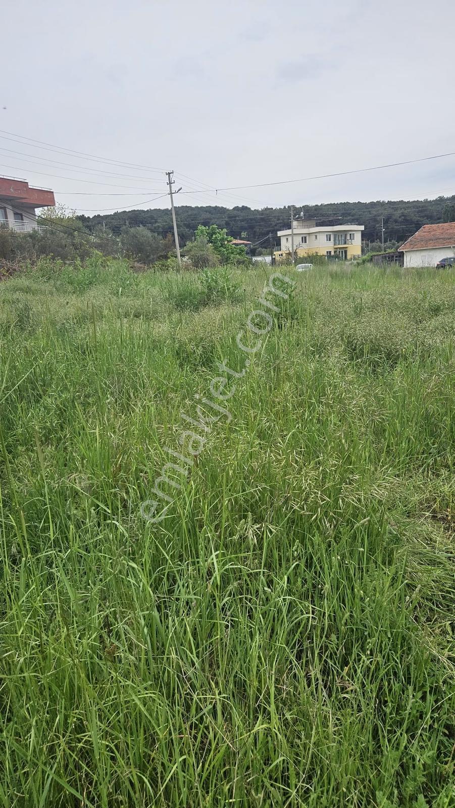 Çanakkale Merkez Yapıldak Köyü Satılık Arsa - Görsel 2