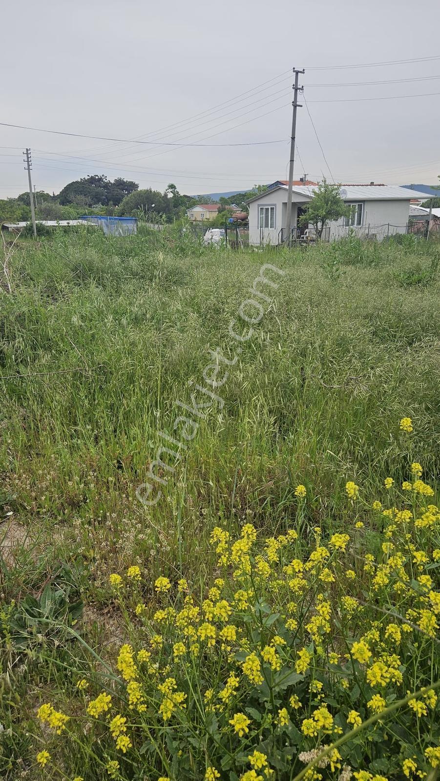 Çanakkale Merkez Yapıldak Köyü Satılık Arsa - Görsel 9