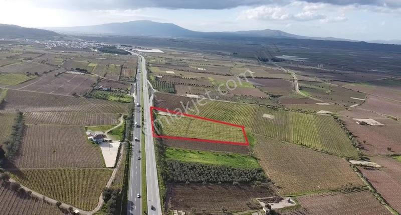 Ankara Asfaltına Cepheli 11180 M2 Zeytinlik - Görsel 10