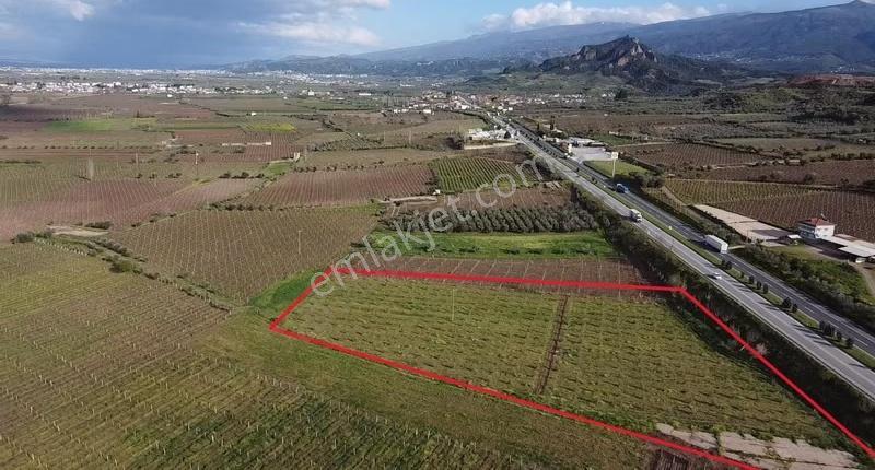 Ankara Asfaltına Cepheli 11180 M2 Zeytinlik - Görsel 20