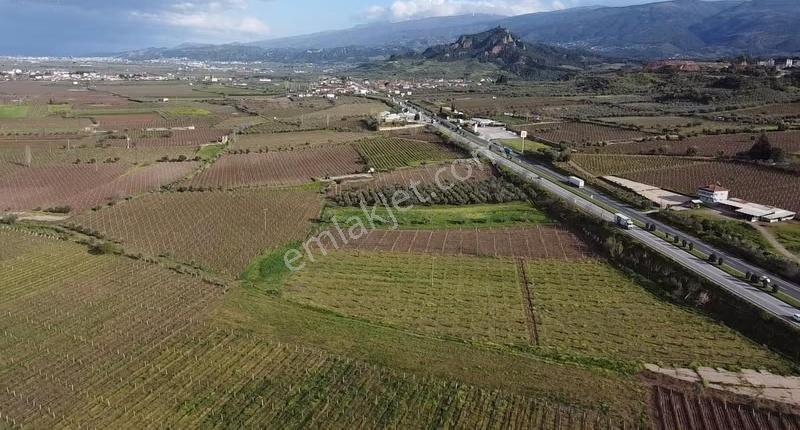Ankara Asfaltına Cepheli 11180 M2 Zeytinlik - Görsel 19