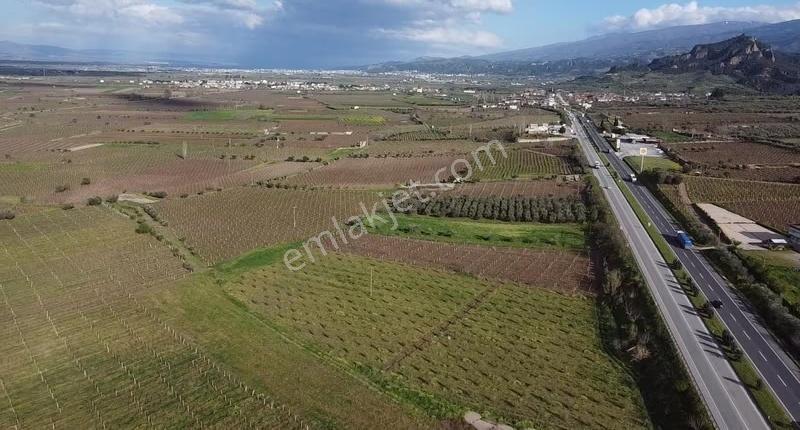 Ankara Asfaltına Cepheli 11180 M2 Zeytinlik - Görsel 12