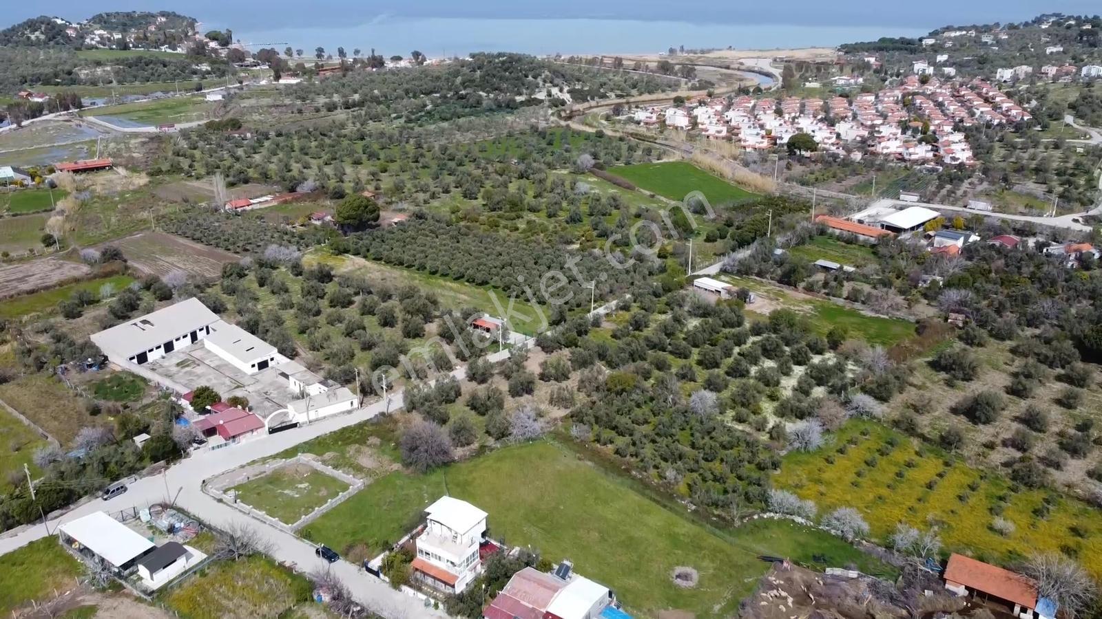 İzmir Dikili Bademli De Satılık 3906 M² Tek Tapu Arazi - Görsel 4