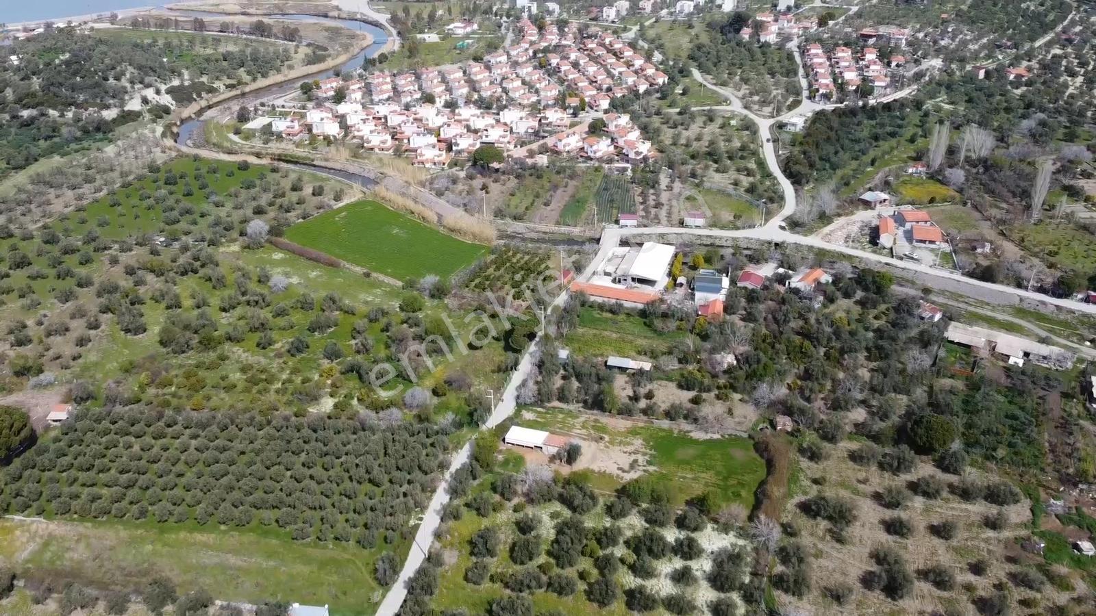 İzmir Dikili Bademli De Satılık 3906 M² Tek Tapu Arazi - Görsel 3