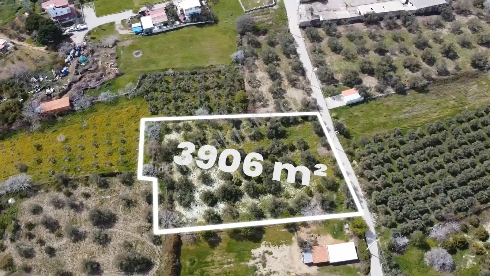 İzmir Dikili Bademli De Satılık 3906 M² Tek Tapu Arazi