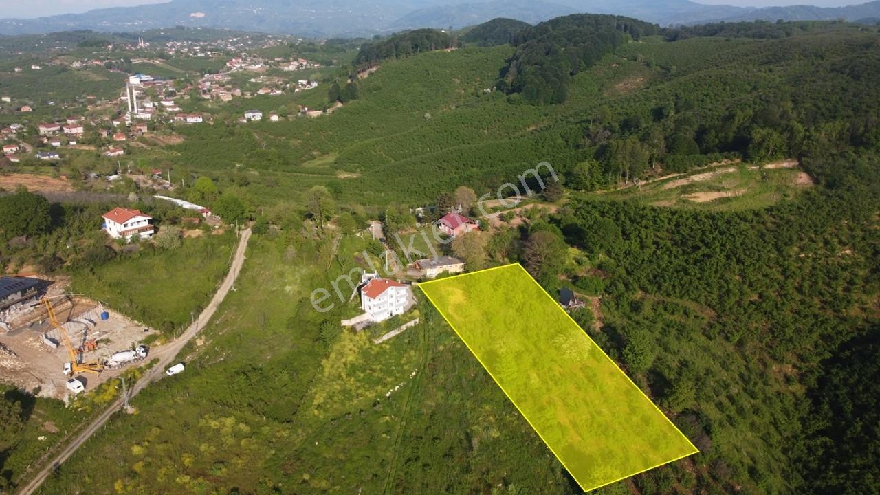 Kocaalide Köy İçinde İmarlı Satılık Arsa
